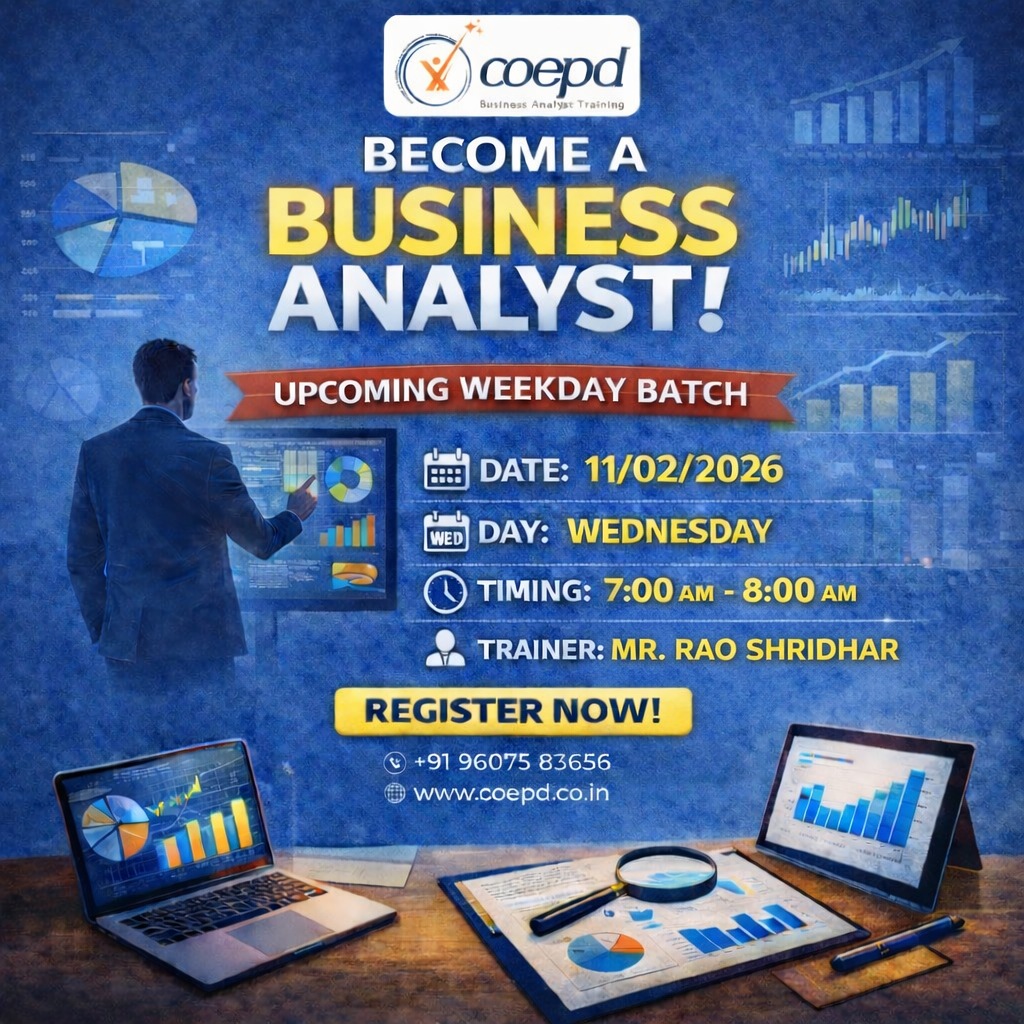 Business Analyst